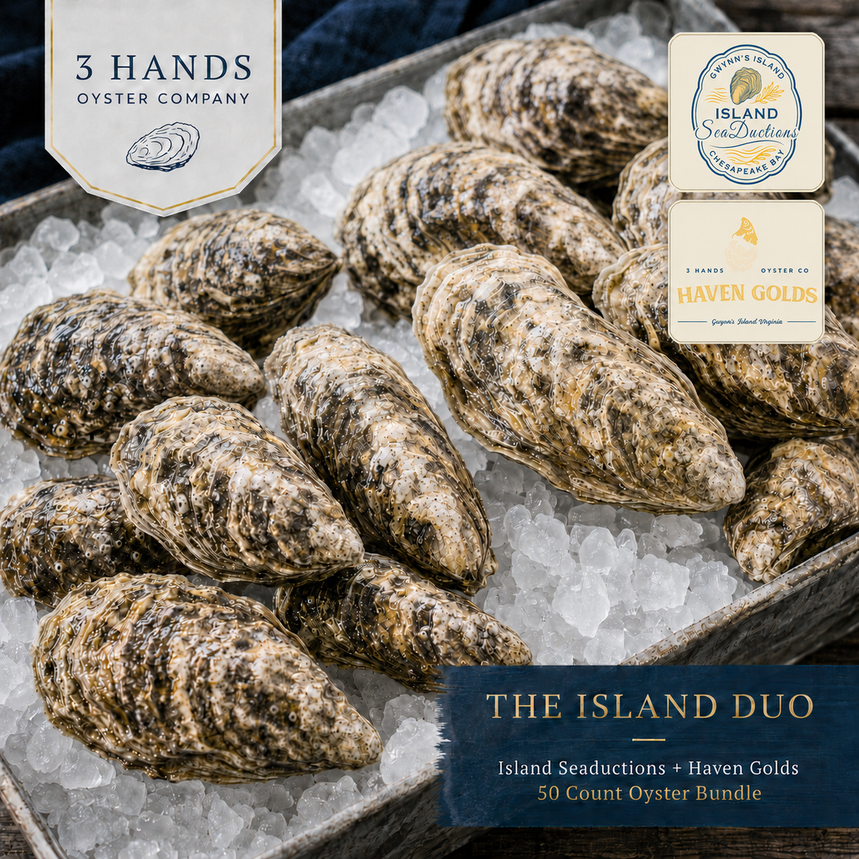 The Island Duo — 50 Count Oyster Bundle