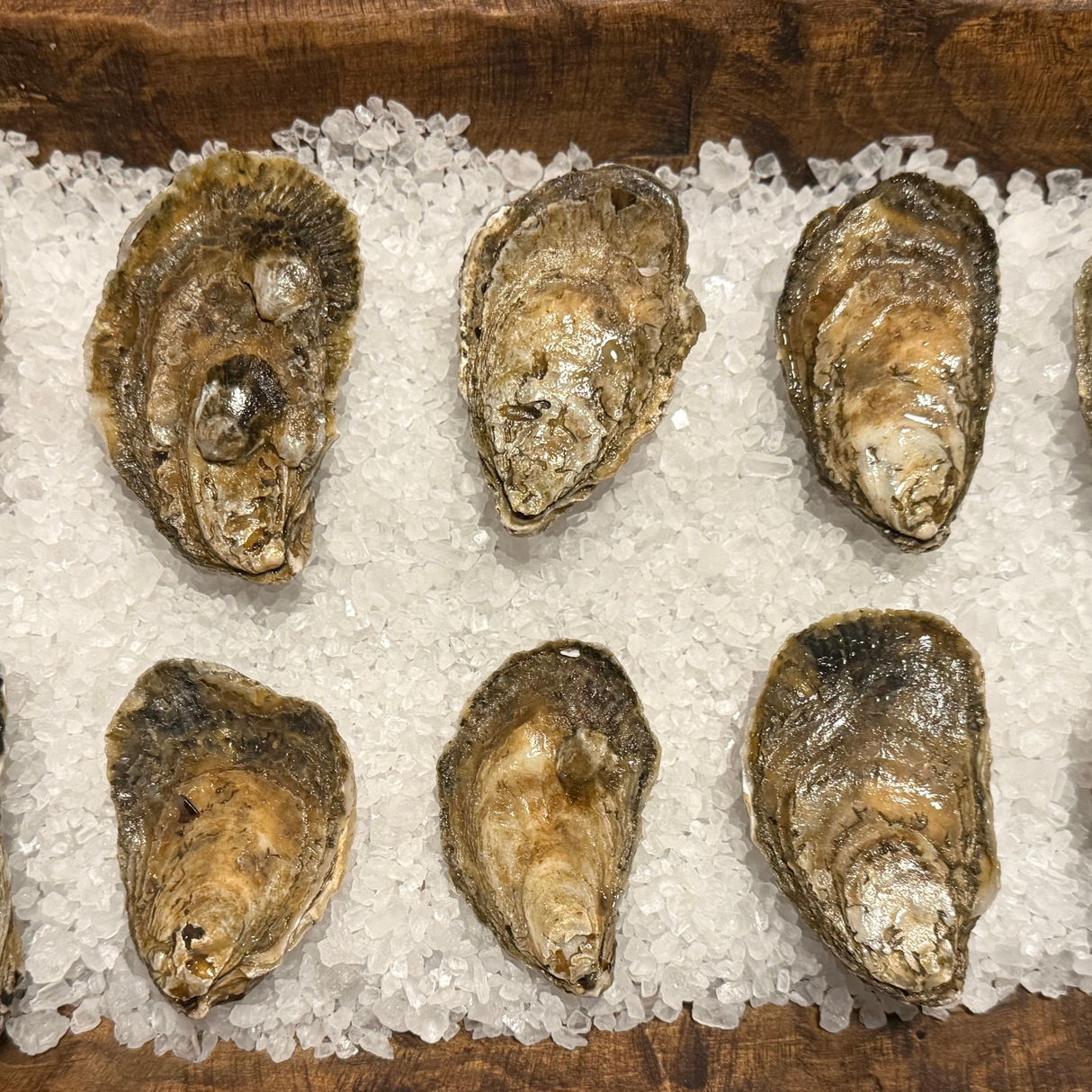 Island Seaduction Oysters