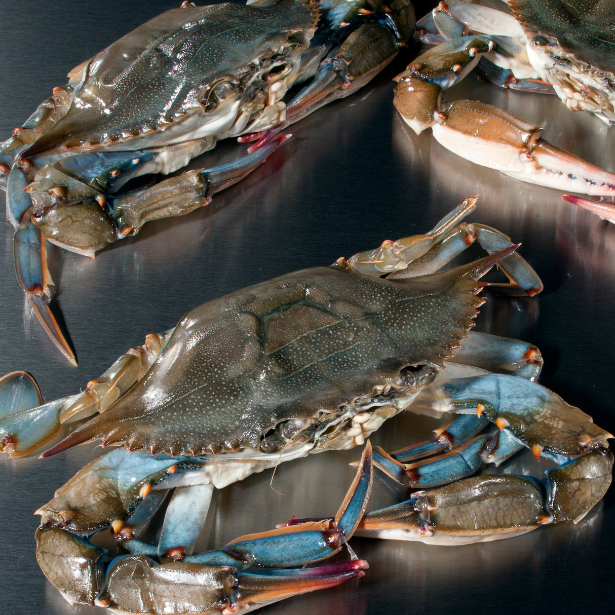 Frozen Soft Shell Crabs - Whales