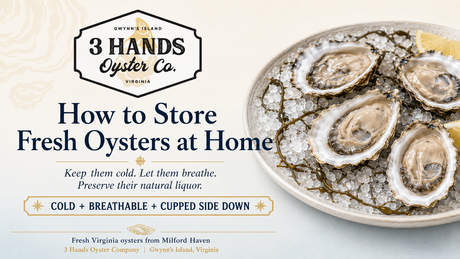 Fresh Virginia oysters on ice with a guide to storing oysters at home from 3 Hands Oyster Company