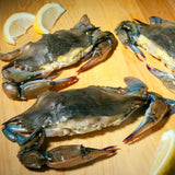 Frozen Soft Shell Crabs - Whales