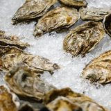 Haven Gold Oysters