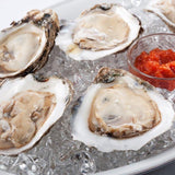 Haven Gold Shell Oysters