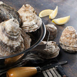 Haven Gold Shell Oysters